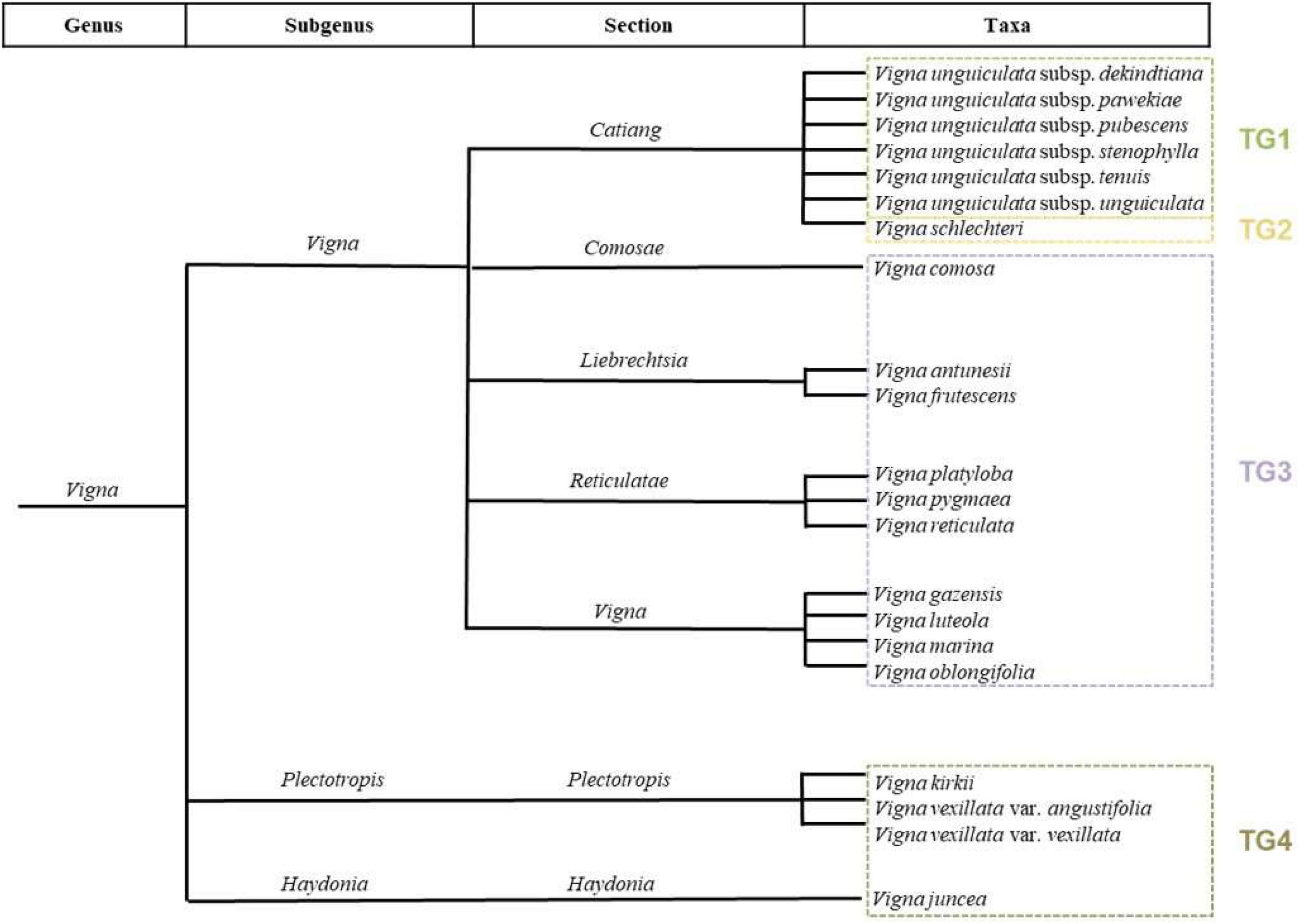 Diversity patterns and conservation of the Vigna spp. in Mozambique: A comprehensive study